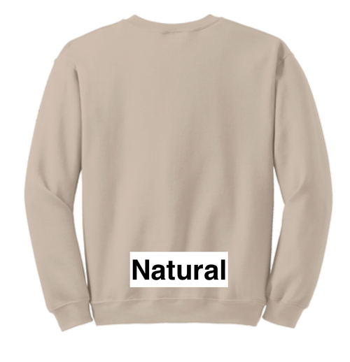 And This Is Why I Wanted To Stay Home Tee or Sweatshirt